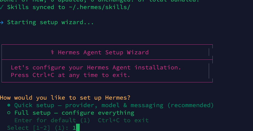 Hermes Agent Setup Wizard